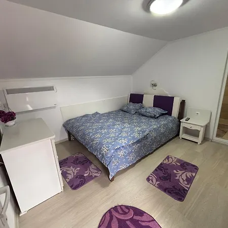 Casa Rica Vendeghaz